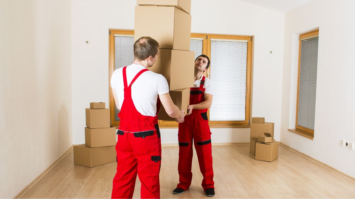 Comprehensive Local Moving Services